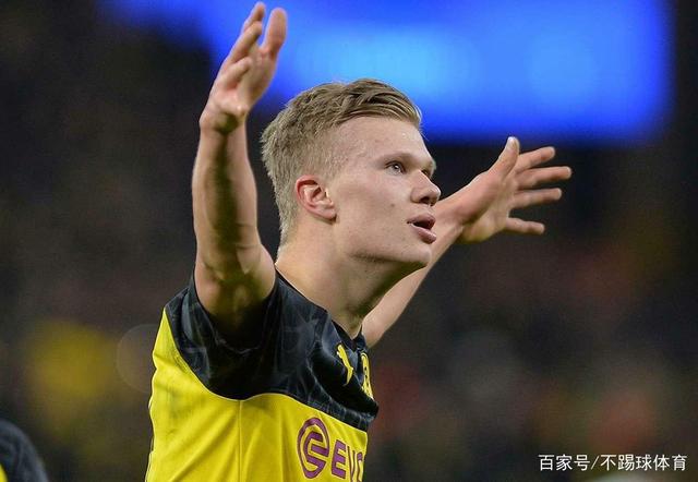 将不再被轻 将不再被轻